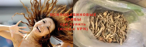 ALPHA PVP Козельск