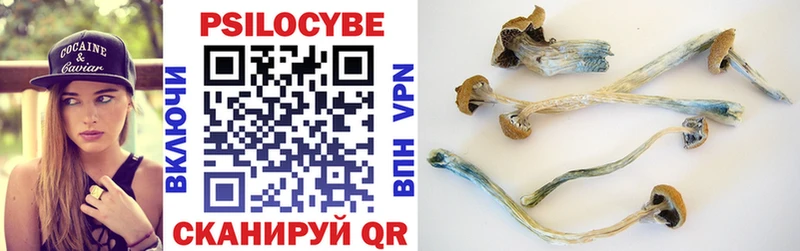 Купить где  Дивногорск  Псилоцибиновые грибы Cubensis 